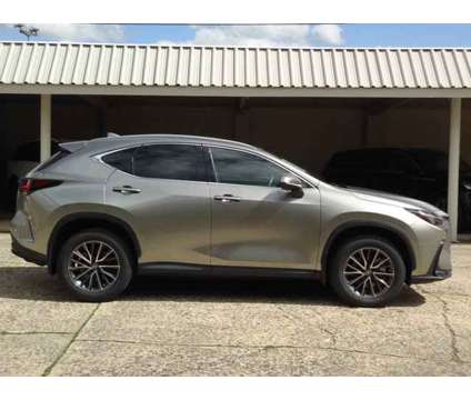 2022 Lexus NX NX 350 Premium is a Silver 2022 Car for Sale in Chambersburg PA