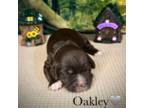 Oakley