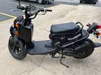 2024 Honda Ruckus