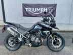 2023 Triumph Tiger 900 GT Low