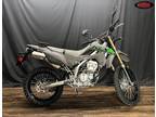 2024 Kawasaki KLX 300