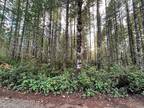 Plot For Sale In Tahuya, Washington