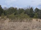 Plot For Sale In Gainesville, Missouri