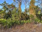 Plot For Sale In New Port Richey, Florida