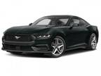 2024 Ford Mustang EcoBoost Premium - Tomball,TX