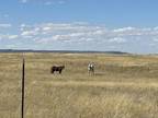 Tract 377 Range Line Rd Cheyenne, WY -