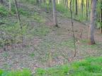 Plot For Sale In Waynesville, North Carolina