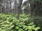 Plot For Sale In Nikiski North Kenai, Alaska