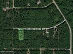 Plot For Sale In Willow, Alaska