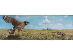 Oil Painting Hawk Bird Hunting Rattlesnake Snake Landscape Animal Art A. Joli