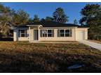 97 Fisher Ct, Ocklawaha, FL 32179