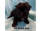 Toothless teacup kb black