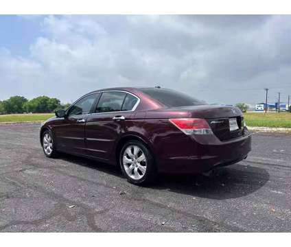 2010 Honda Accord for sale is a Red 2010 Honda Accord Car for Sale in San Antonio TX