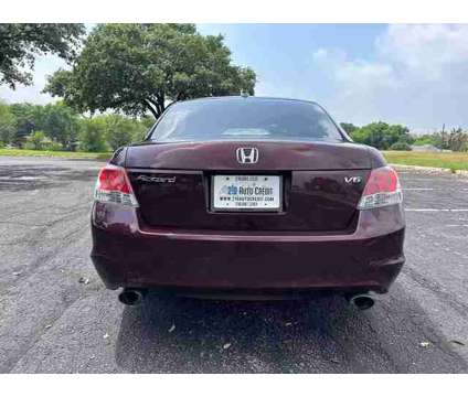 2010 Honda Accord for sale is a Red 2010 Honda Accord Car for Sale in San Antonio TX