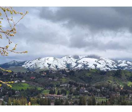 Beautiful top of the hill Home in Alamo with Panoramic Views at 91 Ircal Court in Alamo CA is a Single-Family Home