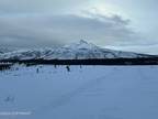 Plot For Sale In Cantwell, Alaska
