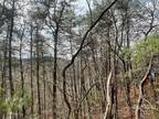 Plot For Sale In Brevard, North Carolina