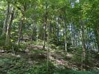 Plot For Sale In Lebanon, Virginia