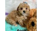 Annie