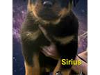 Sirius