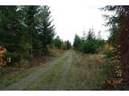 Plot For Sale In Yelm, Washington