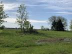Plot For Sale In Buckley, Illinois
