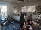 Roommate wanted to share 1 Bedroom 1 Bathroom Apartment...