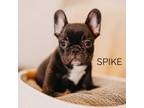 Spike