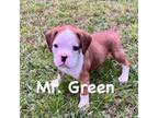 Mr. Green