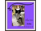 Adopt Krolia - Can you be my family? I am a special lover boy.
