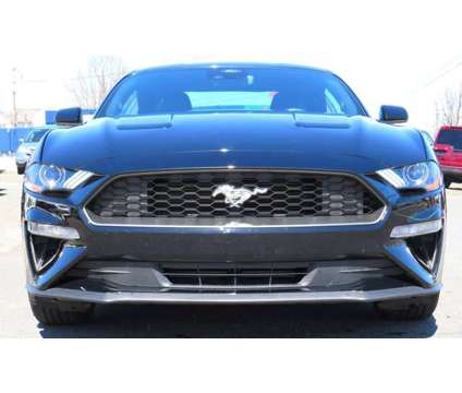 2023 Ford Mustang EcoBoost Premium is a Black 2023 Ford Mustang EcoBoost Car for Sale in South Amboy NJ