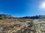 Macclesfield, Pitt County, NC Undeveloped Land for sale Property ID: 418544989
