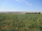 Plot For Sale In Touchet, Washington