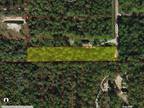Naples, Collier County, FL Undeveloped Land, Homesites for sale Property ID: