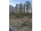 225 LAKE FOREST DR, Birchwood, TN 37308 Land For Sale MLS# 1382294