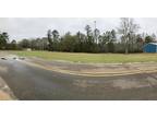 Picayune, Pearl River County, MS Undeveloped Land, Homesites for sale Property