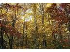 Red Wing, Goodhue County, MN Undeveloped Land, Homesites for sale Property ID: