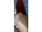 Canopy BED for rent ina house. FIRST WEEK FREE