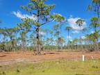 Plot For Sale In Ochlockonee Bay, Florida