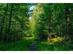 Ohio, Herkimer County, NY Undeveloped Land for sale Property ID: 415641461
