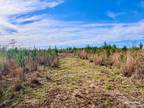 Plot For Sale In Molino, Florida