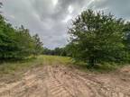 Teague, Freestone County, TX Recreational Property, Hunting Property for sale