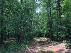 Plot For Sale In Robbins, North Carolina