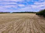 Plot For Sale In Spring Lake Township, Wisconsin