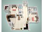 The Social Apartments - I