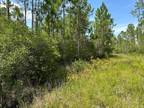 Perry, Taylor County, FL Recreational Property, Timberland Property