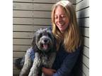 Experienced and Reliable Pet Sitter spending time in Tofino