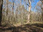 Plot For Sale In Newberry, South Carolina