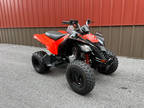 2024 Can-Am DS 250