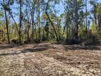 Plot For Sale In Madison, Florida